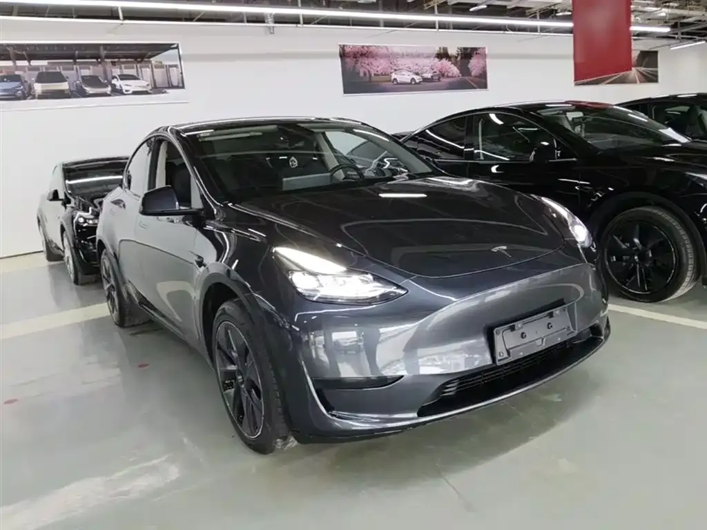 Tesla Model Y — фото 10
