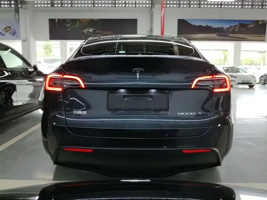 Tesla Model Y — фото 8