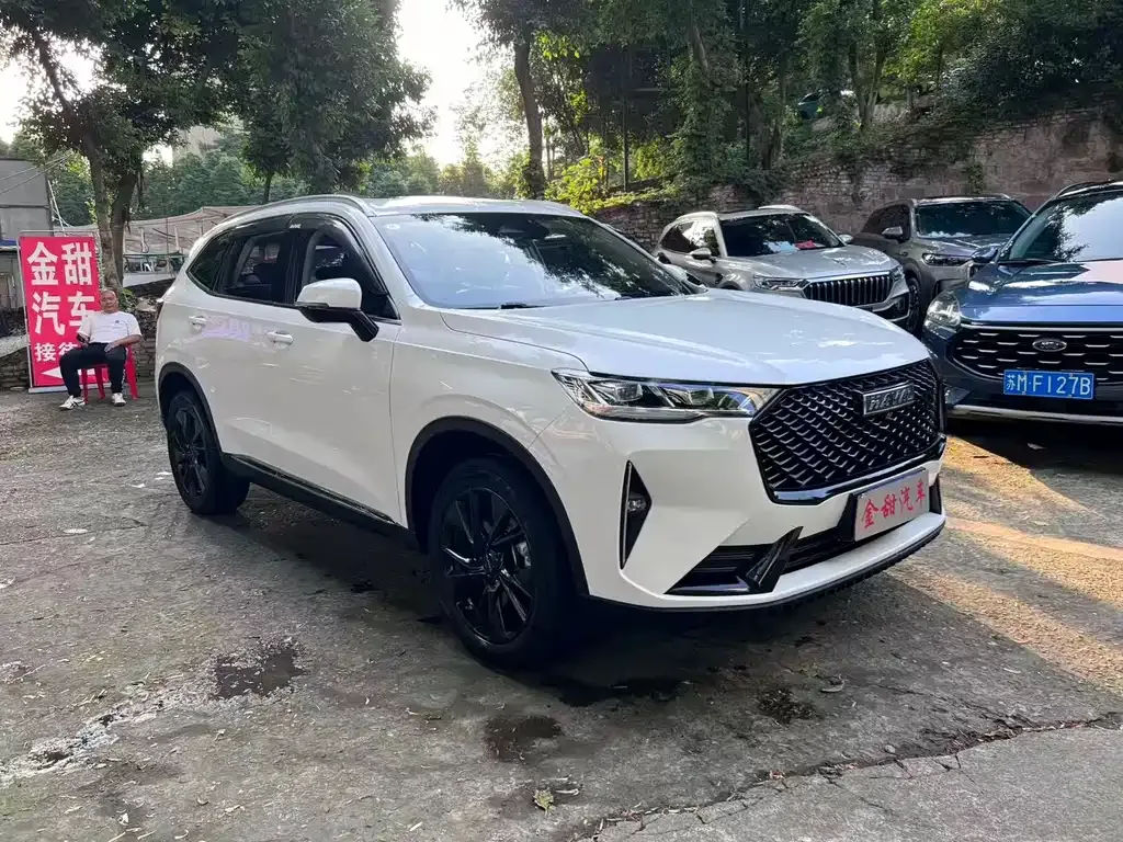 Haval H6 — фото 10