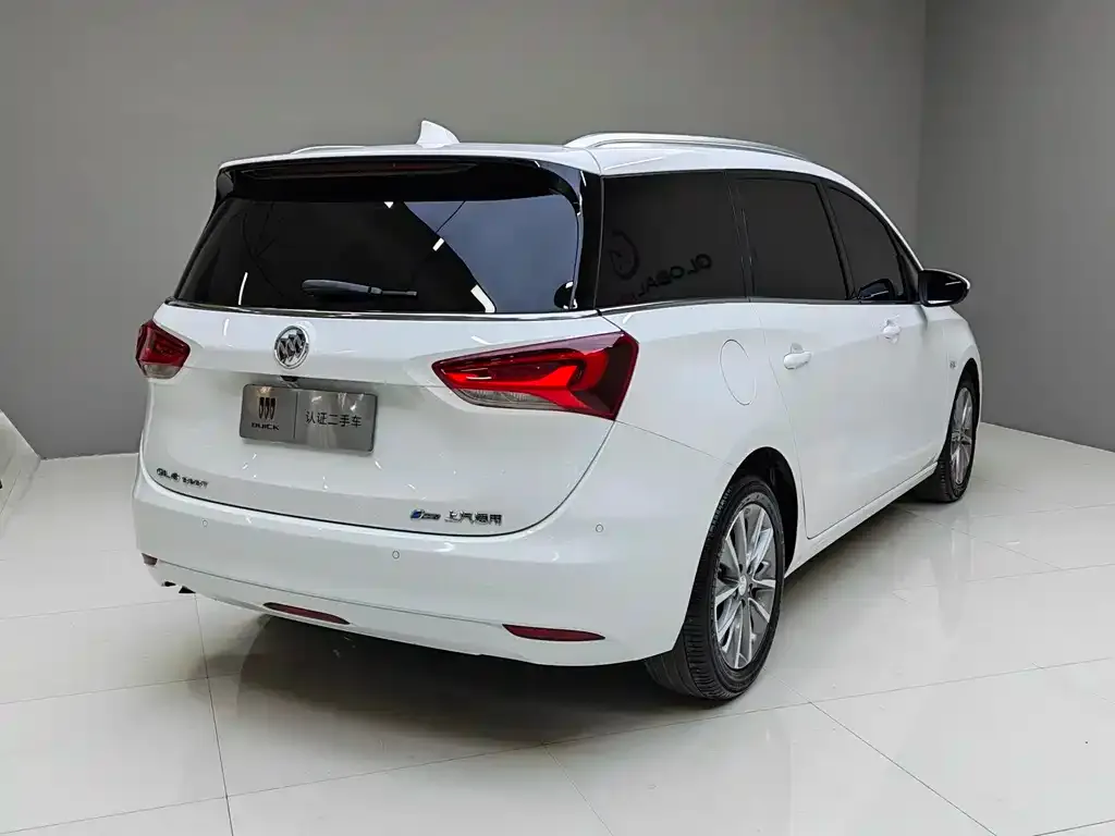 Buick GL6 2021 из CN, фото 6