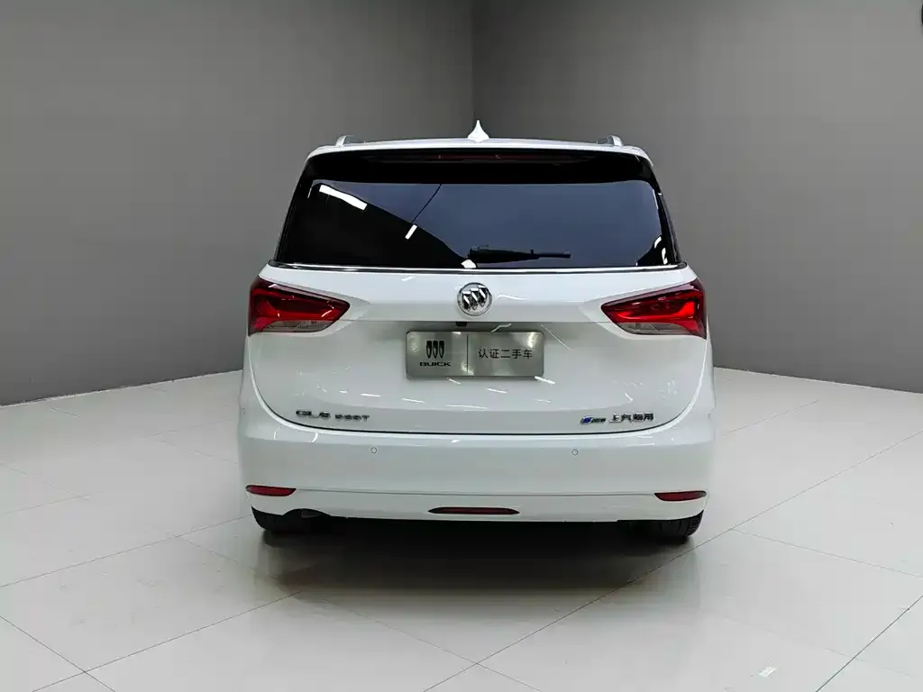 Buick GL6 2021 из CN, фото 7