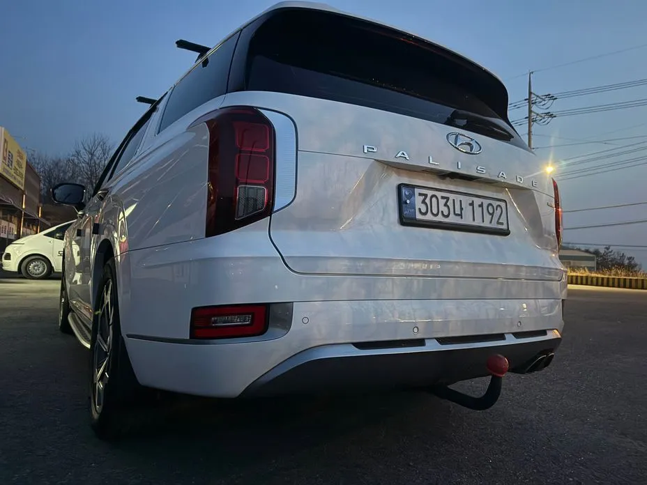 Hyundai Palisade — фото 8