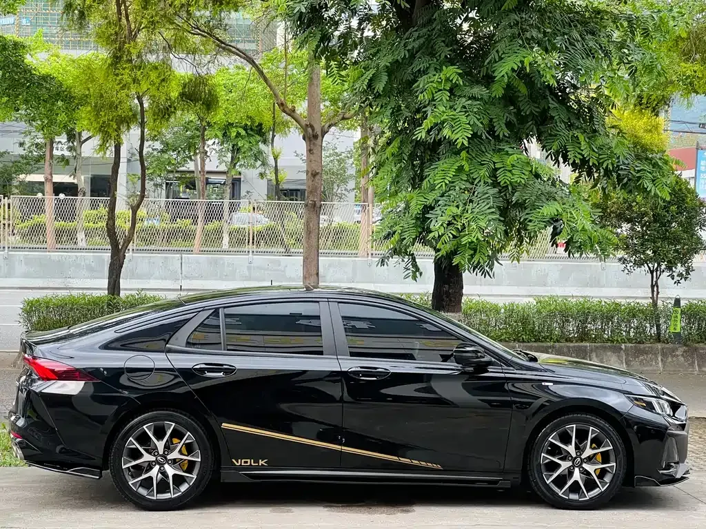 GAC Motor Shadow Leopard — фото 10