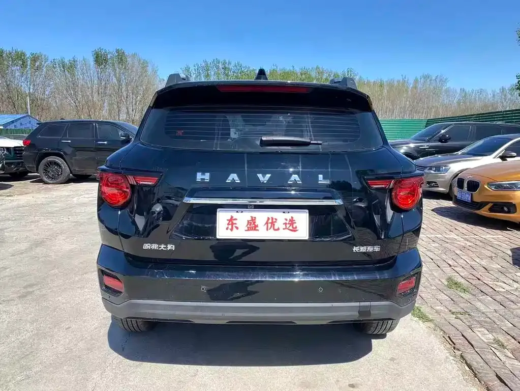 Haval H7 (Big Dog Plus) 2024 из CN, фото 9
