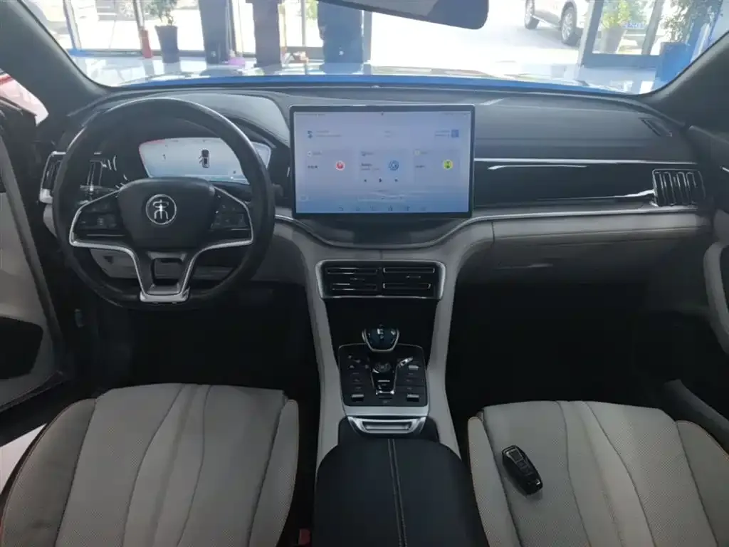 BYD PLUS New Energy 2023 из CN, фото 4