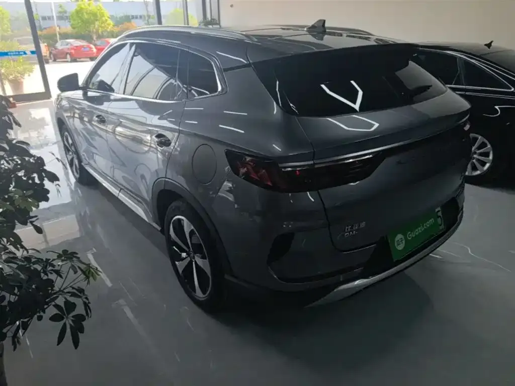 BYD PLUS New Energy 2023 из CN, фото 2