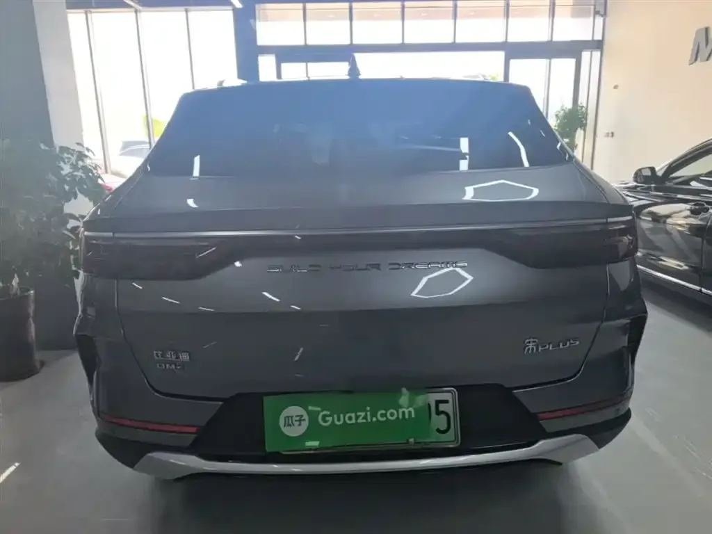BYD PLUS New Energy 2023 из CN, фото 9