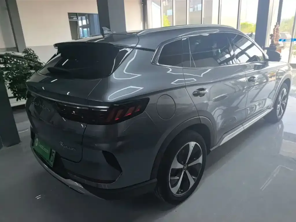 BYD PLUS New Energy 2023 из CN, фото 6
