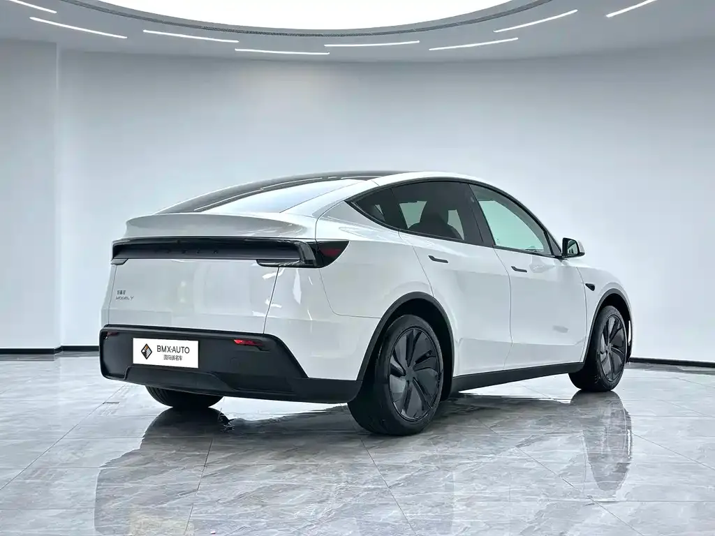 Tesla Model Y — фото 7