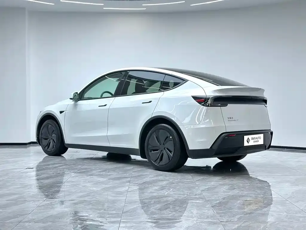 Tesla Model Y — фото 9