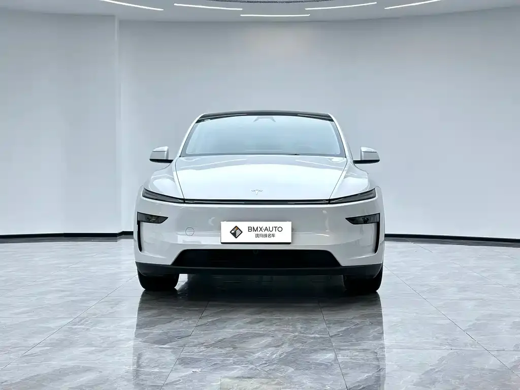 Tesla Model Y — фото 5