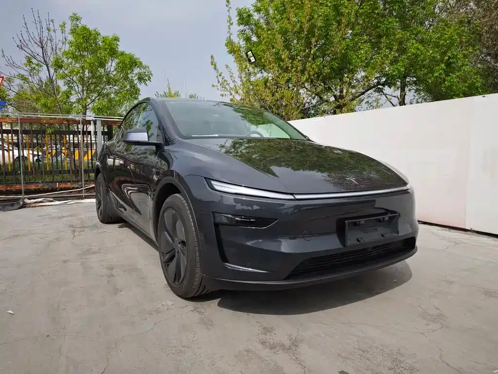 Tesla Model Y — фото 8