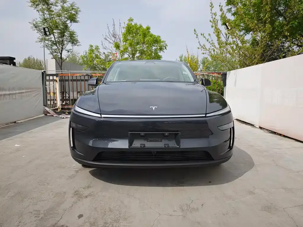 Tesla Model Y — фото 5