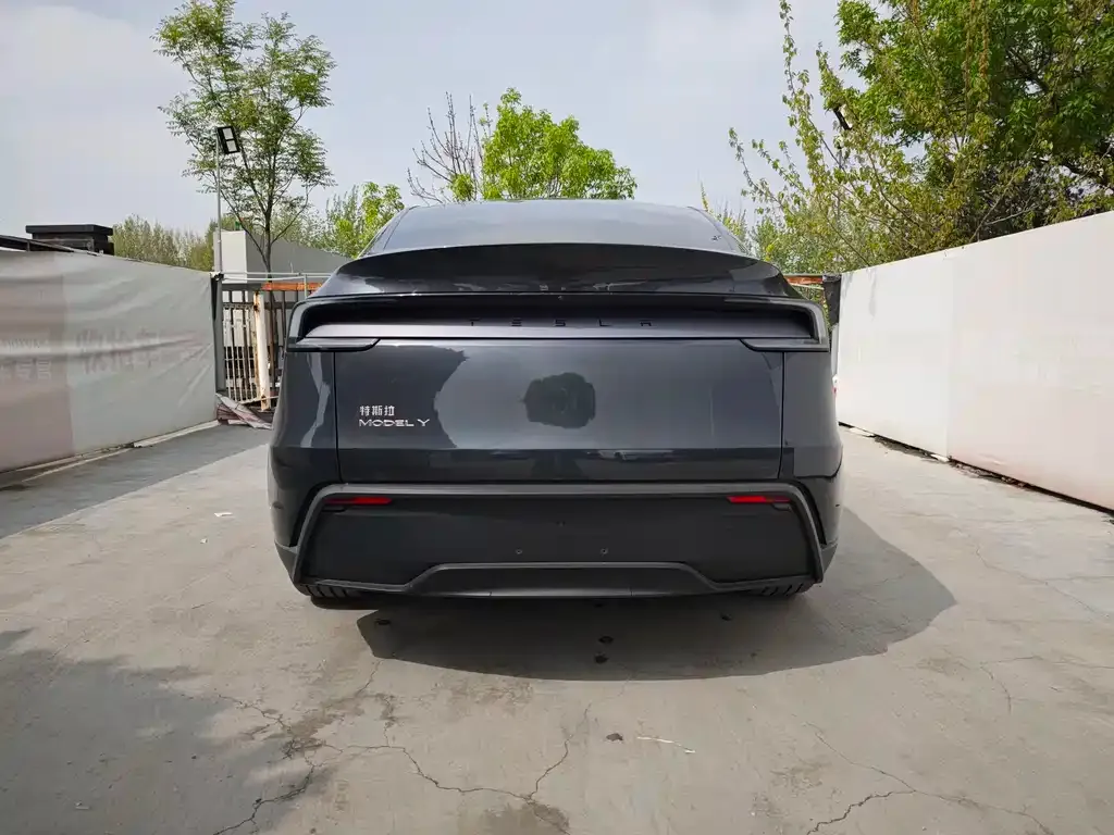Tesla Model Y — фото 9