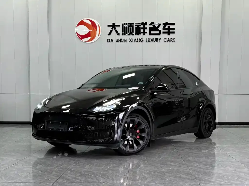 Tesla Model Y — фото 1
