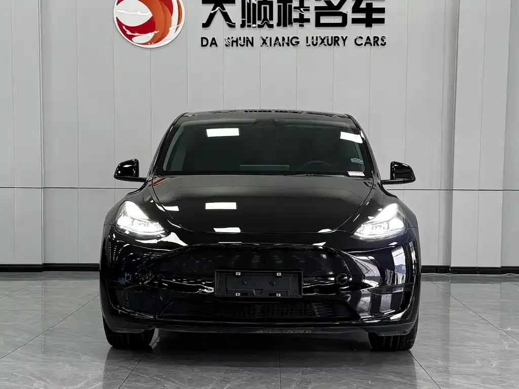 Tesla Model Y — фото 10