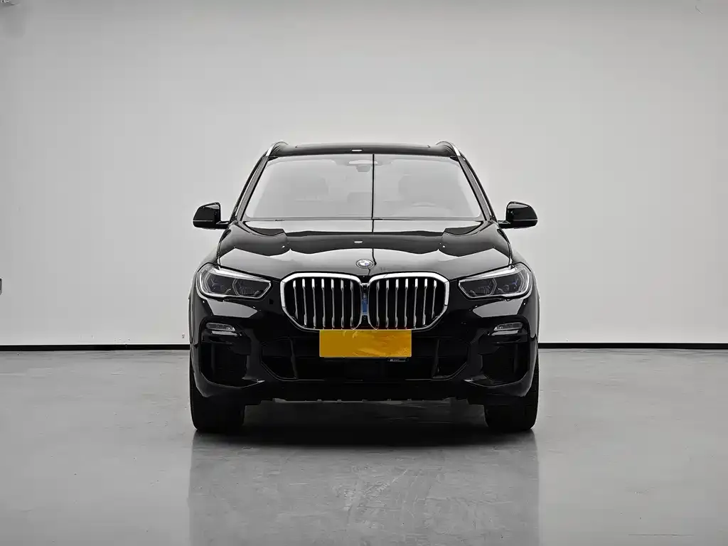 BMW X5 (Import) 2021 из CN, фото 10