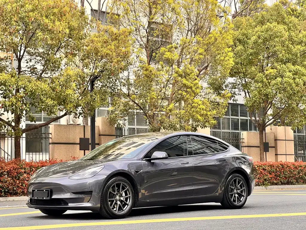 Tesla Model 3 2021 из CN, фото 1