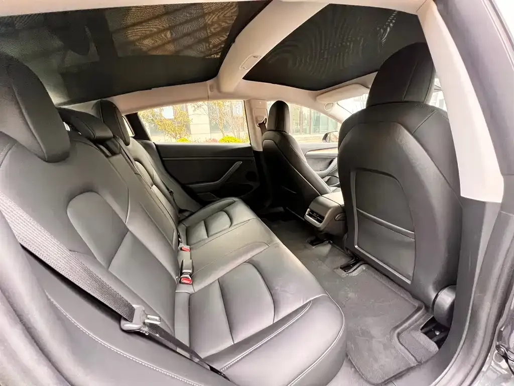 Tesla Model 3 2021 из CN, фото 7