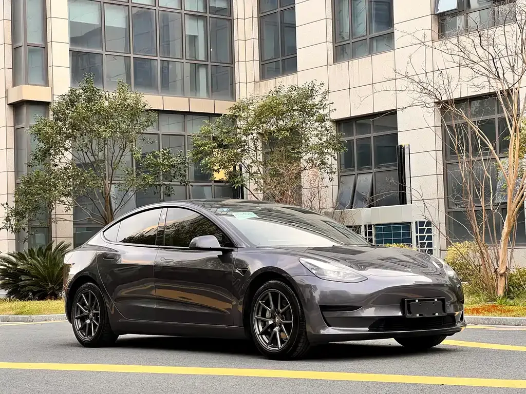 Tesla Model 3 2021 из CN, фото 9