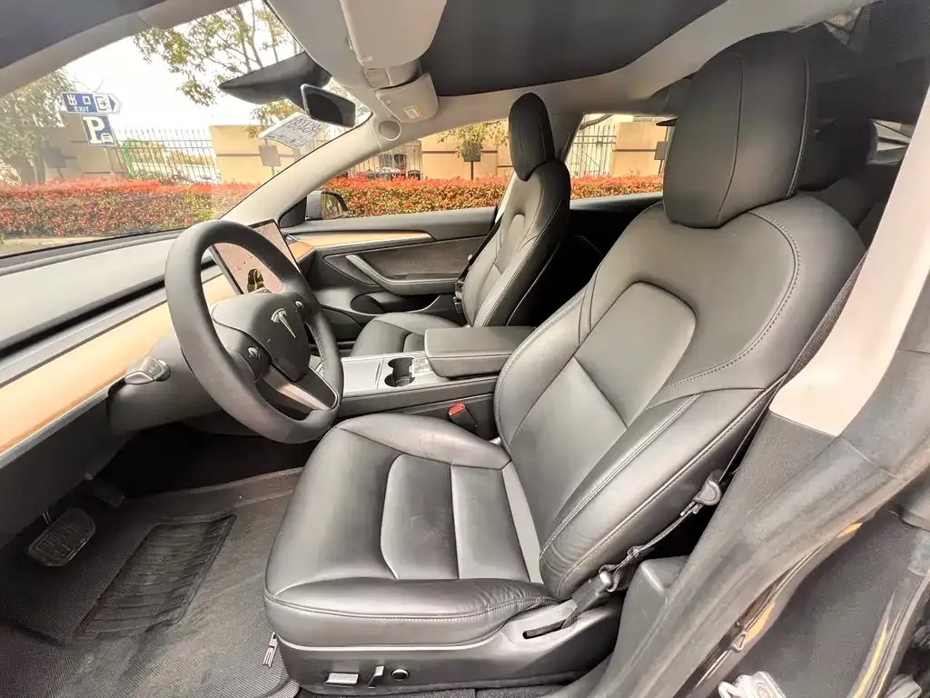 Tesla Model 3 2021 из CN, фото 8
