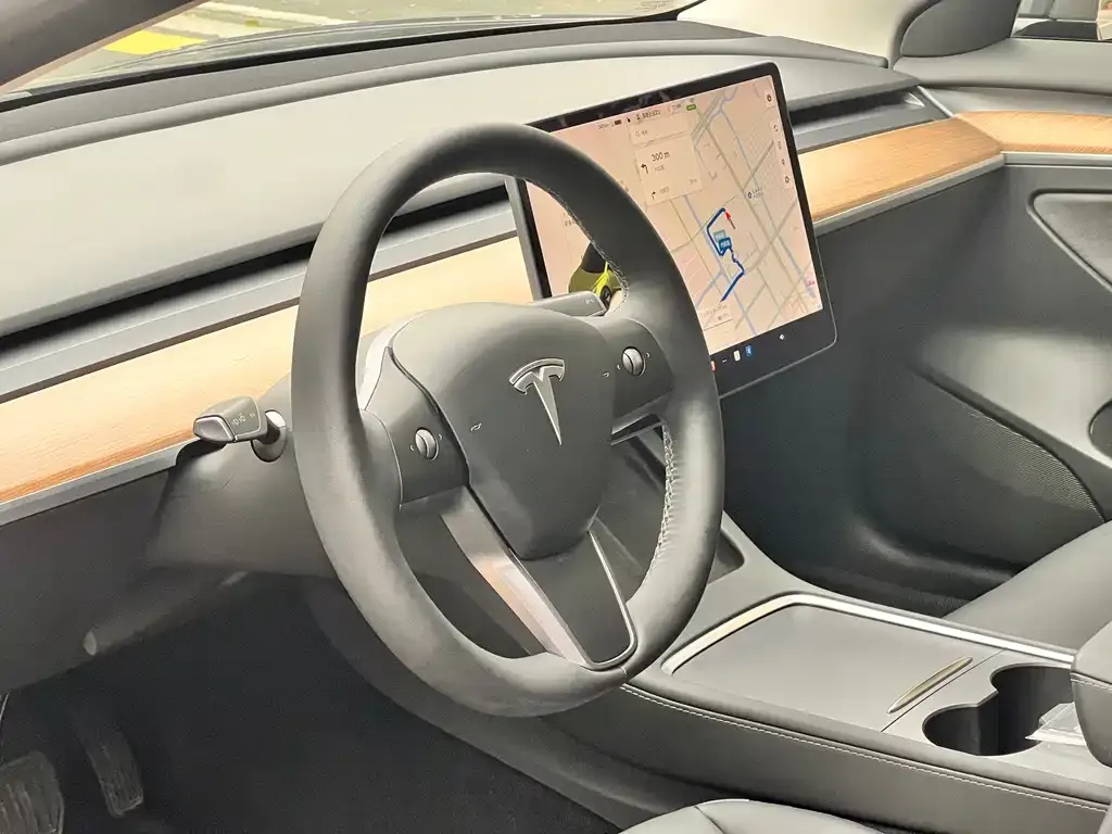 Tesla Model 3 2021 из CN, фото 6