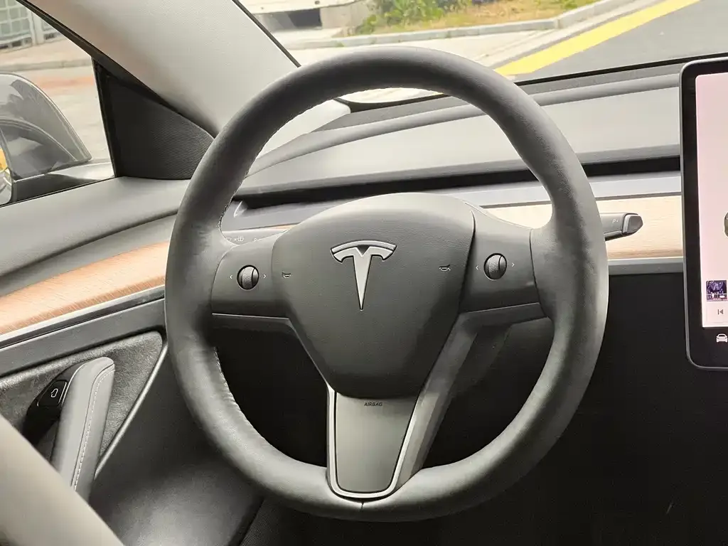 Tesla Model 3 2021 из CN, фото 2
