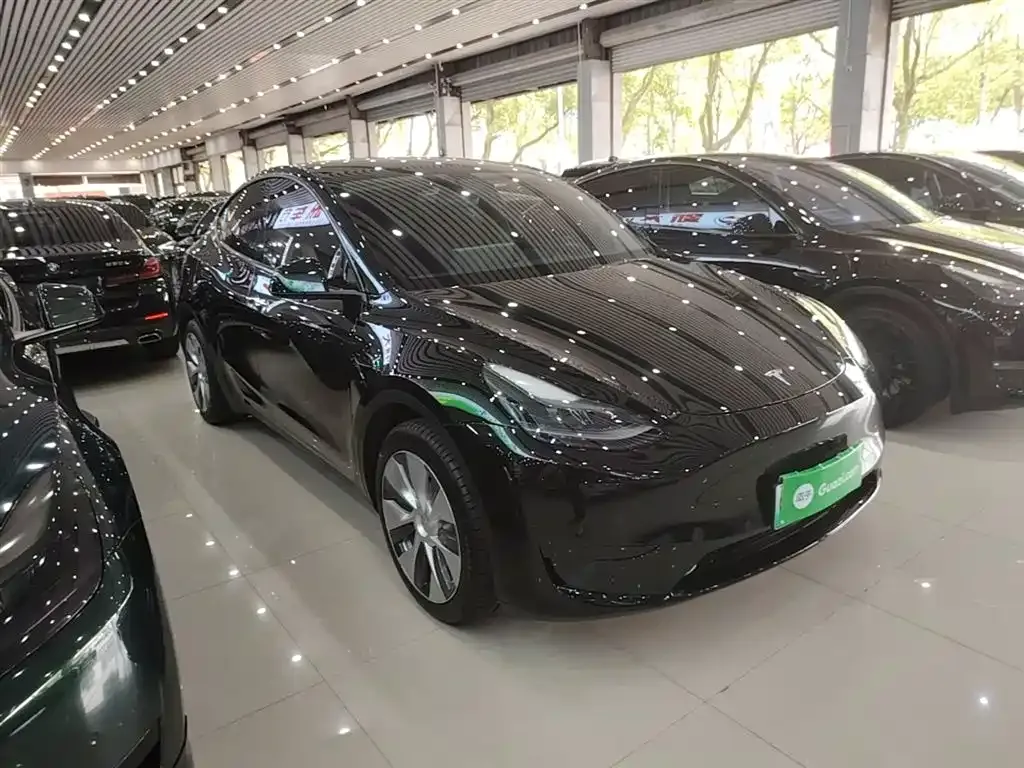 Tesla Model Y — фото 5