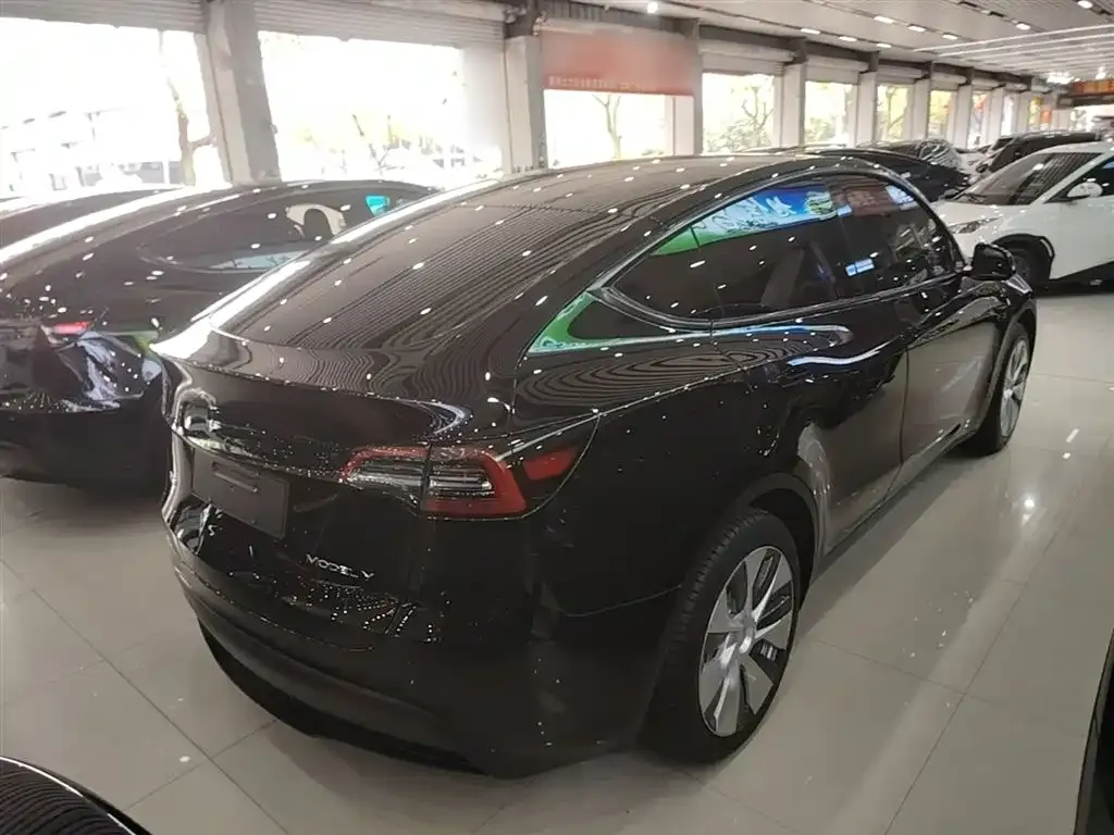 Tesla Model Y — фото 4