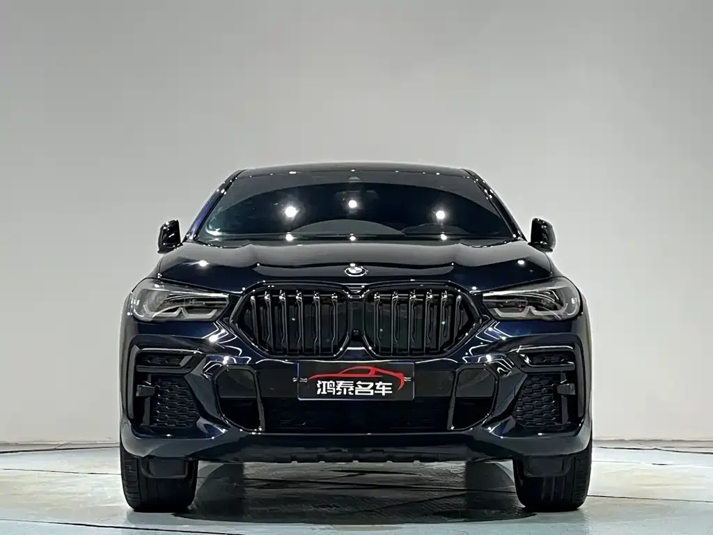 BMW X6 — фото 5