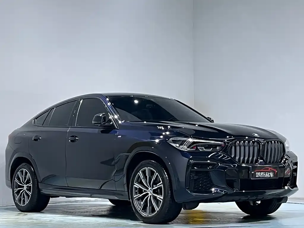 BMW X6 — фото 7