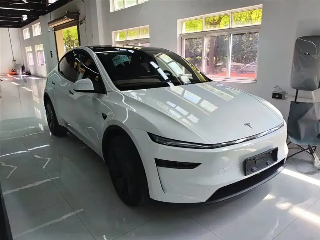 Tesla Model Y — фото 10