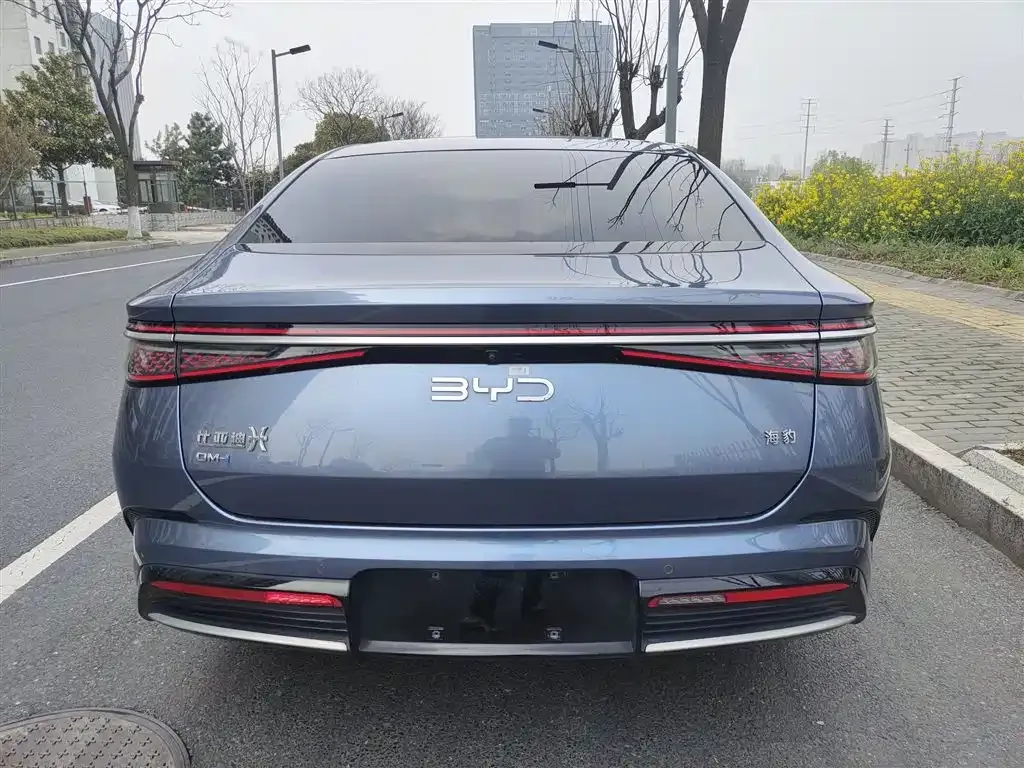 BYD Seal 2024 из CN, фото 2