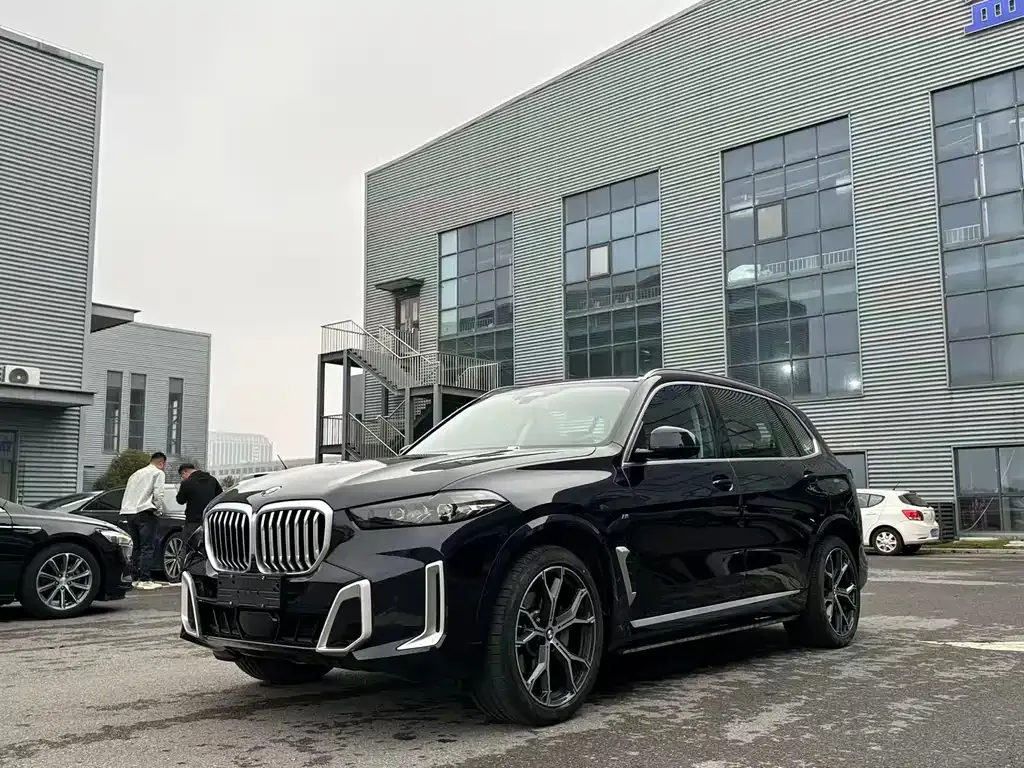BMW X5 2025 из CN, фото 1