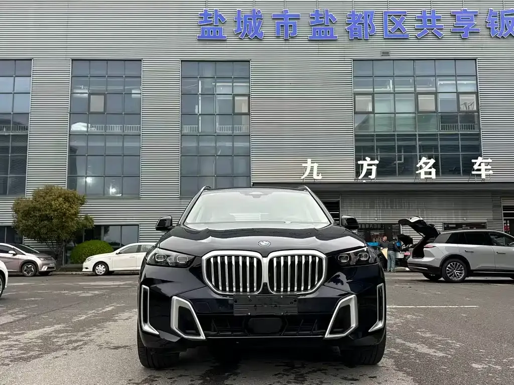 BMW X5 2025 из CN, фото 9