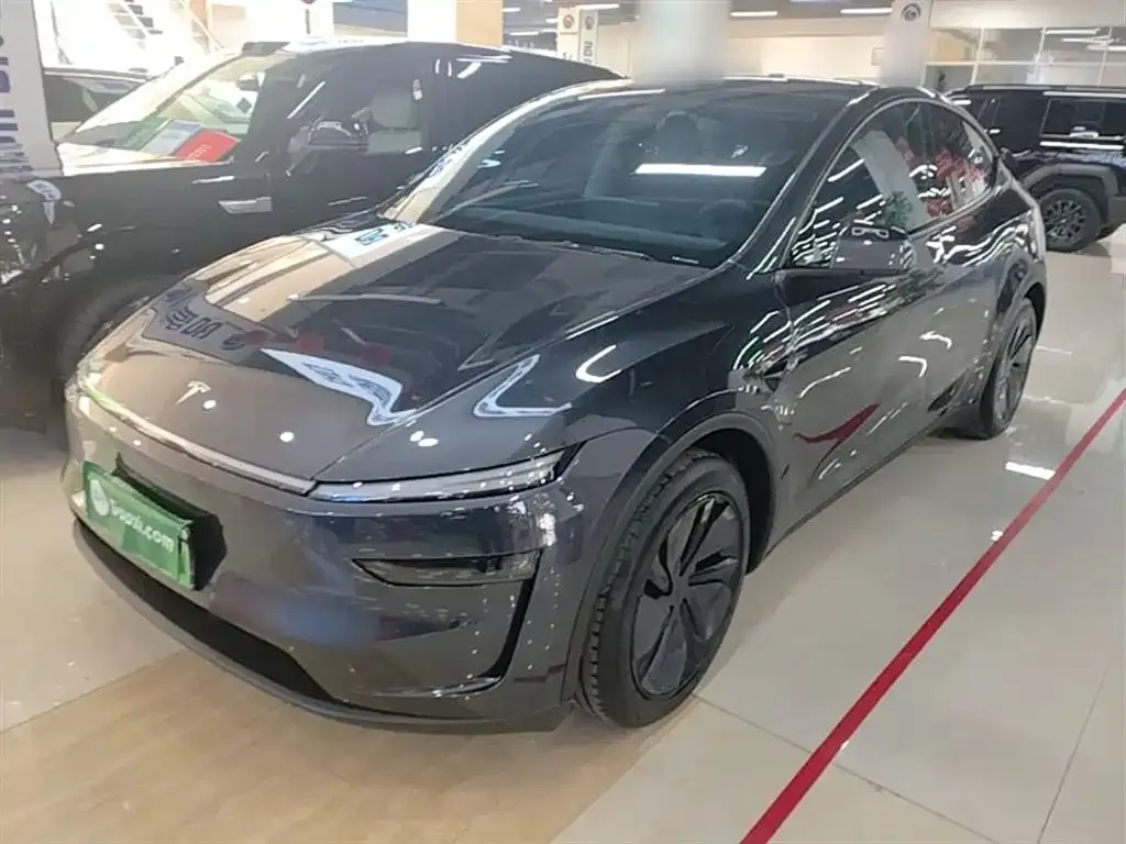 Tesla Model Y — фото 1
