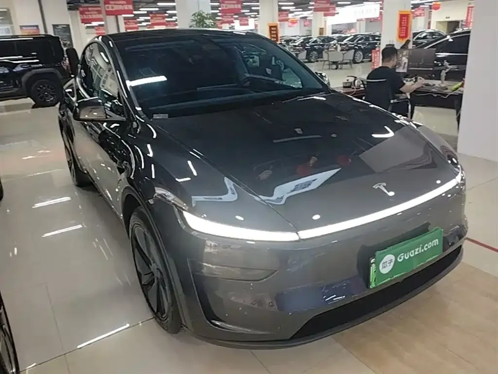 Tesla Model Y — фото 6