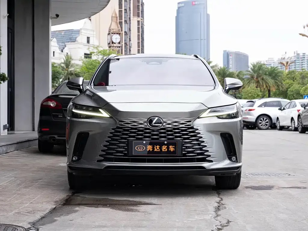 Lexus RX New Energy — фото 6