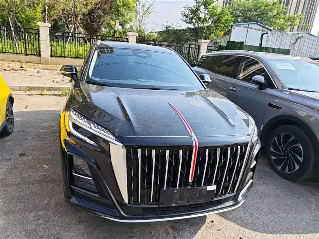 Hongqi HS3 PHEV 2024 из CN, фото 5
