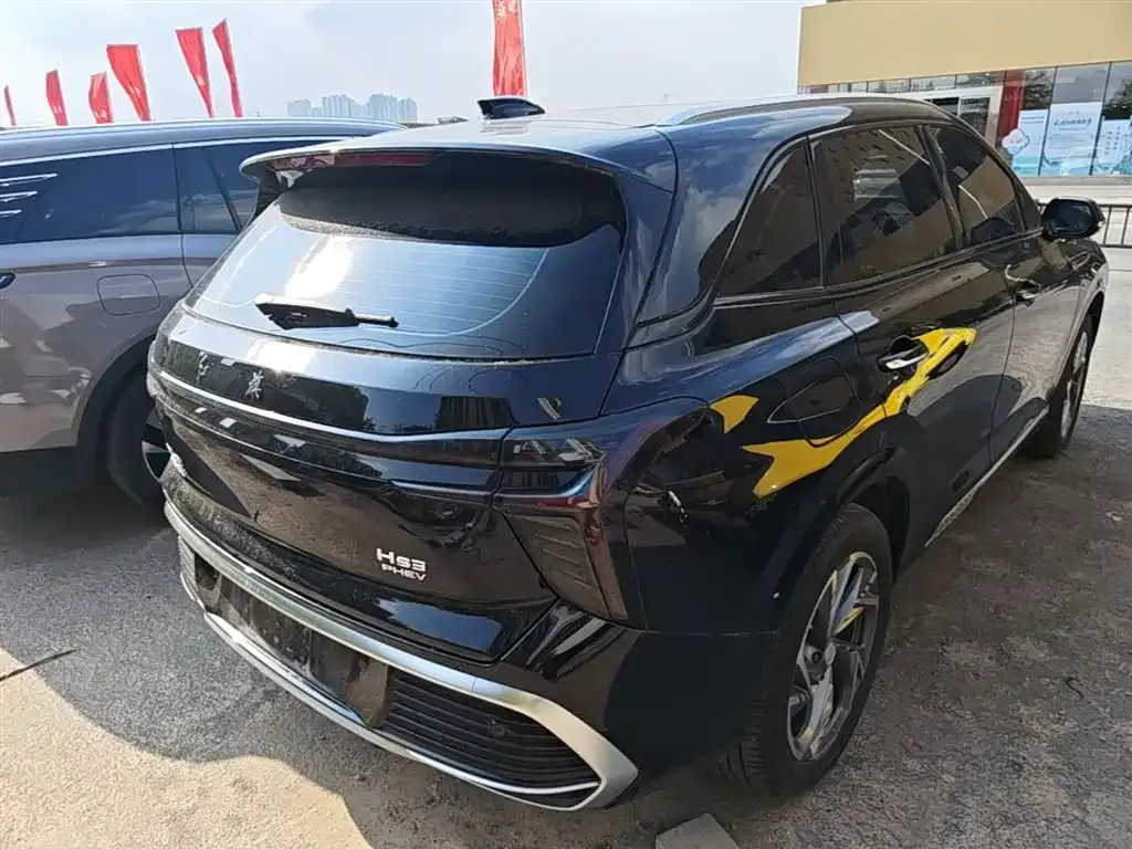 Hongqi HS3 PHEV 2024 из CN, фото 10