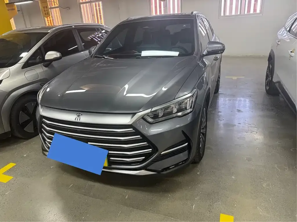 BYD Pro New Energy 2023 из CN, фото 1