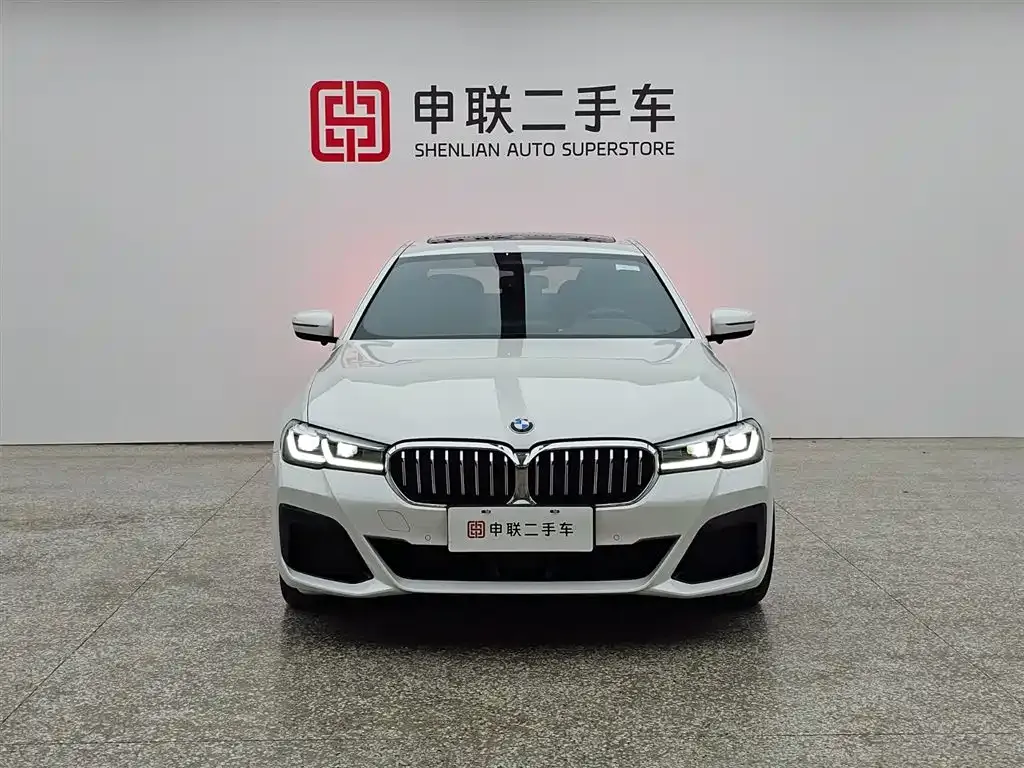 BMW 5 Series New Energy — фото 3