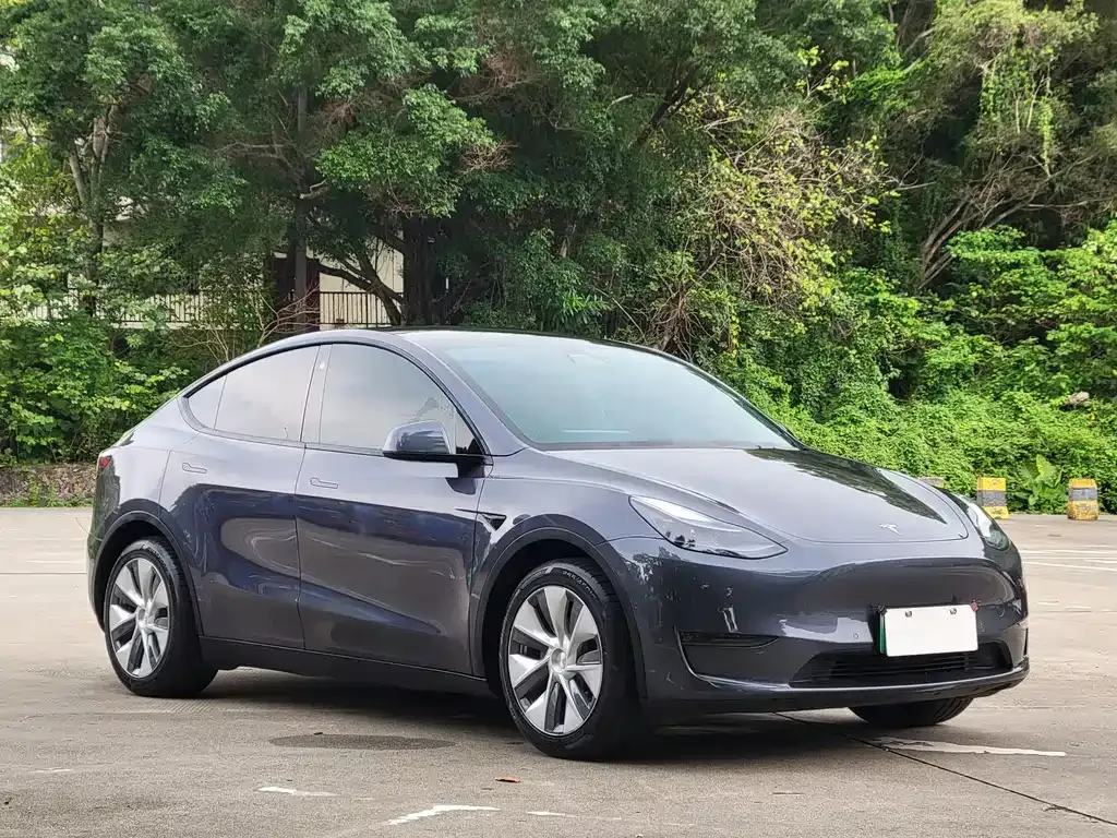 Tesla Model Y — фото 8