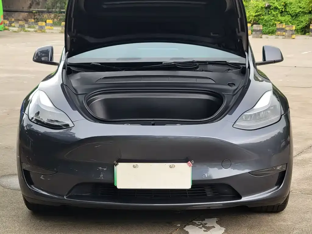 Tesla Model Y — фото 2