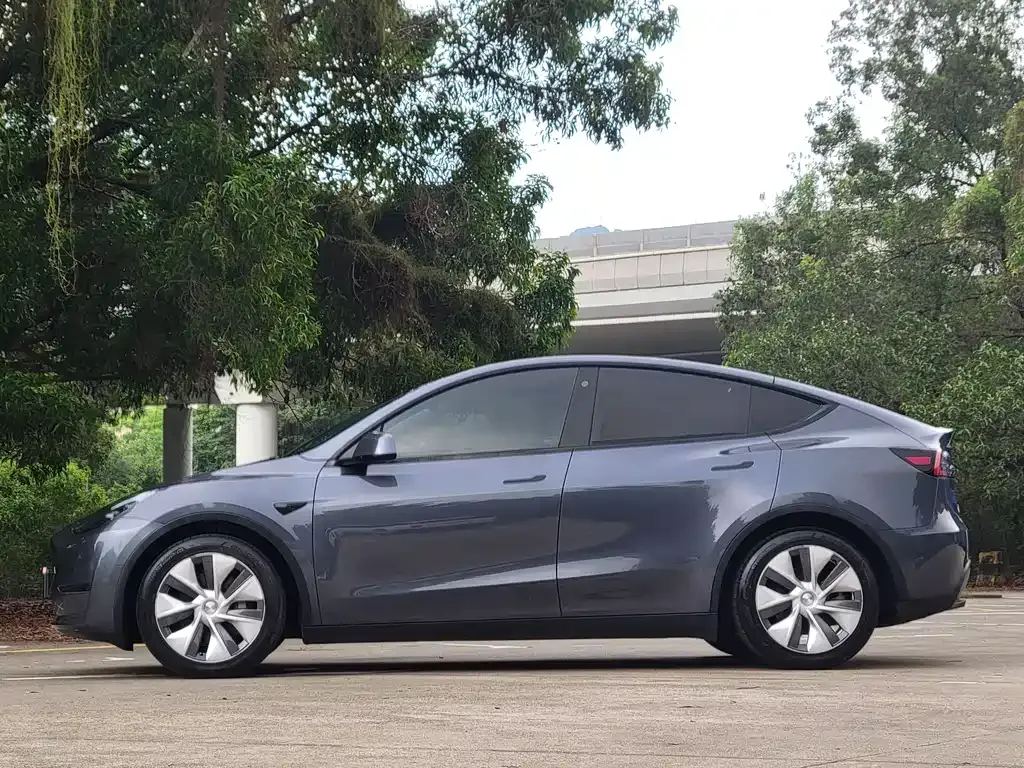 Tesla Model Y — фото 10