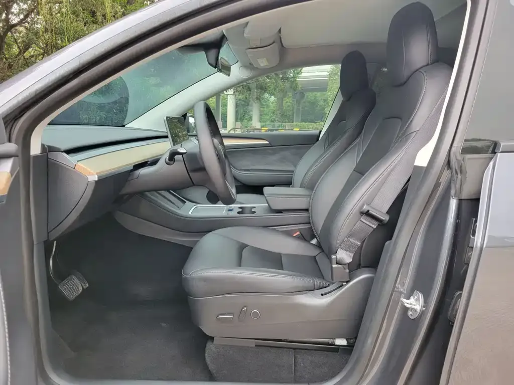 Tesla Model Y — фото 9