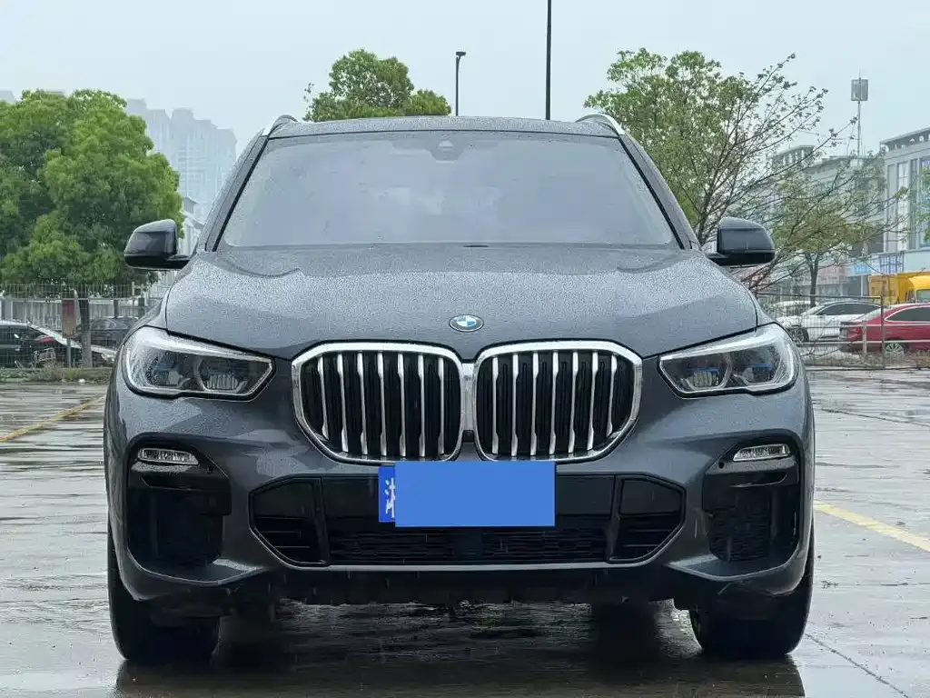 BMW X5 (Import) 2021 из CN, фото 2