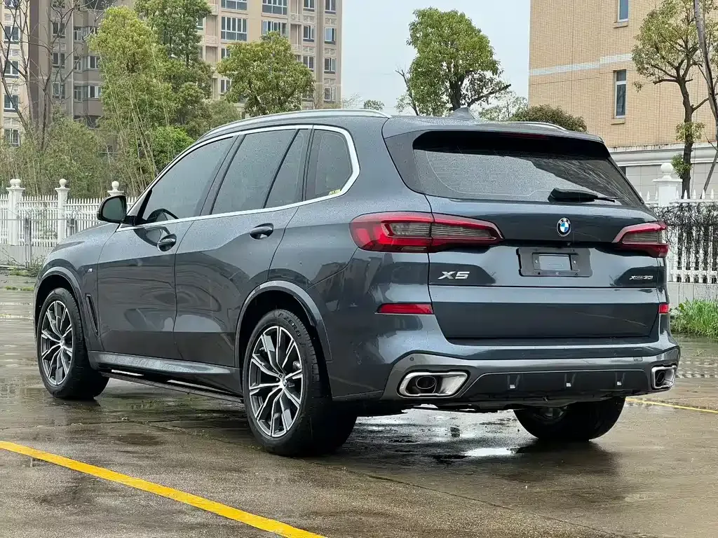 BMW X5 (Import) 2021 из CN, фото 8