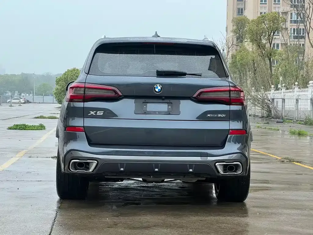BMW X5 (Import) 2021 из CN, фото 7