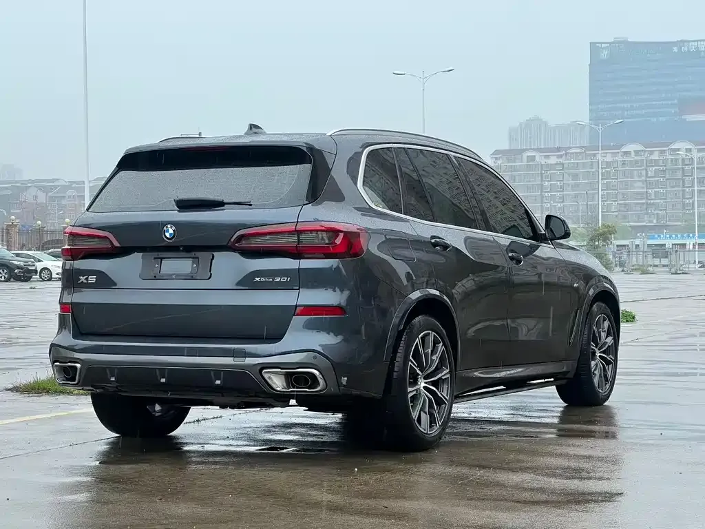 BMW X5 (Import) 2021 из CN, фото 4